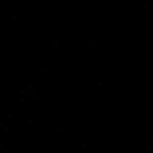 Meet your Posher, Ingrid